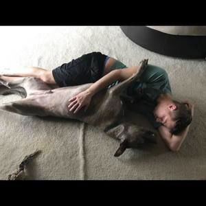 Meet your Posher, Anthony